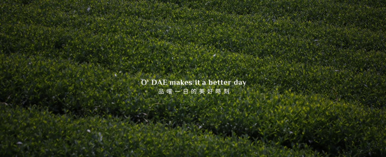 banner.jpg