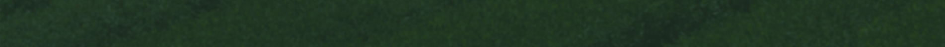 banner_s.jpg